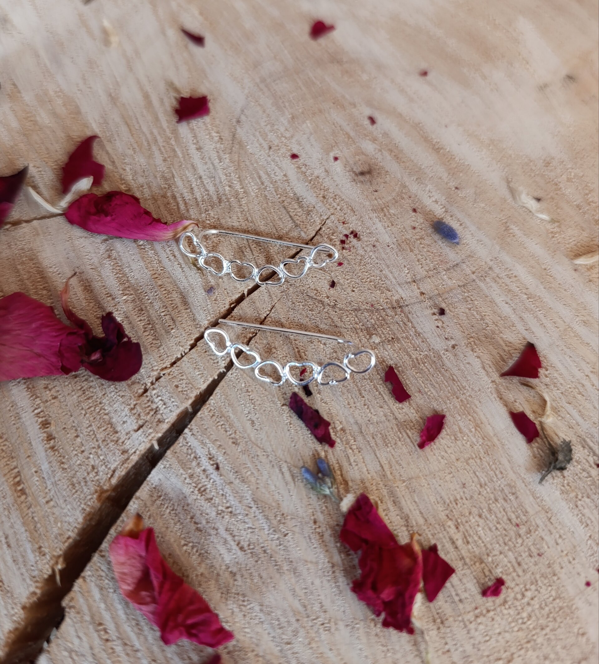 Pendientes Corazones Trepadores en Plata de Ley 925 - 5