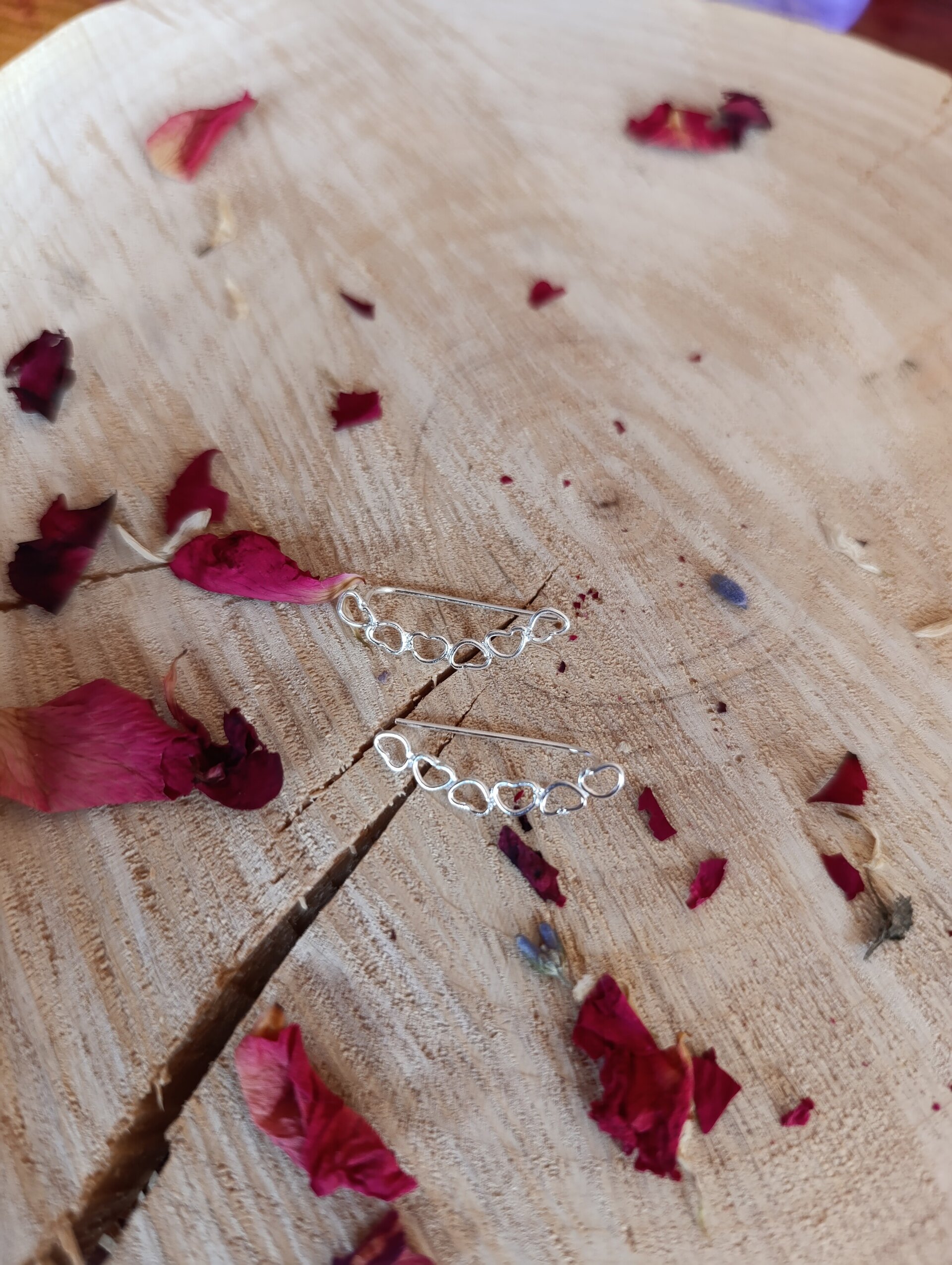 Pendientes Corazones Trepadores en Plata de Ley 925 - 6