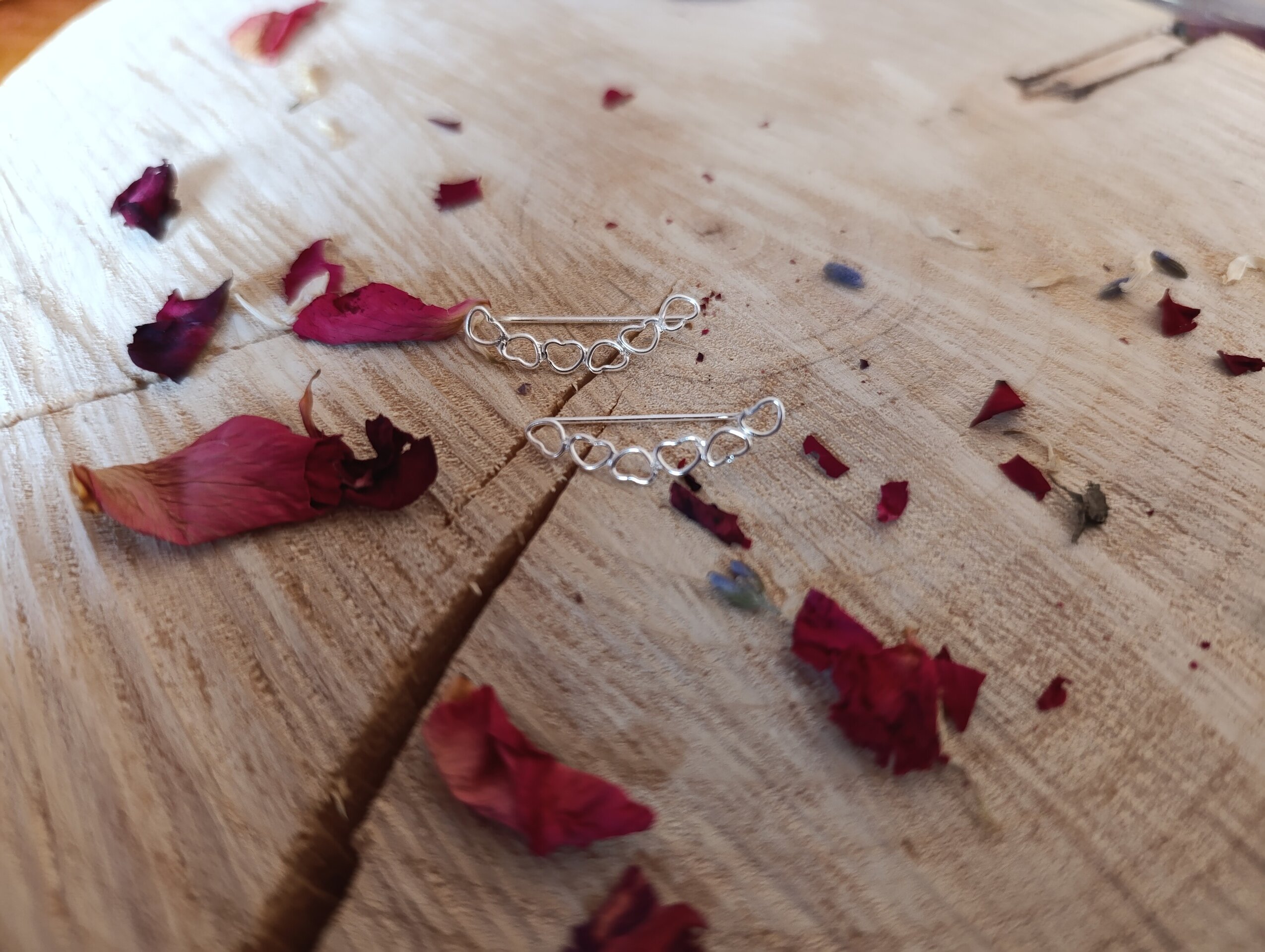 Pendientes Corazones Trepadores en Plata de Ley 925 - 4