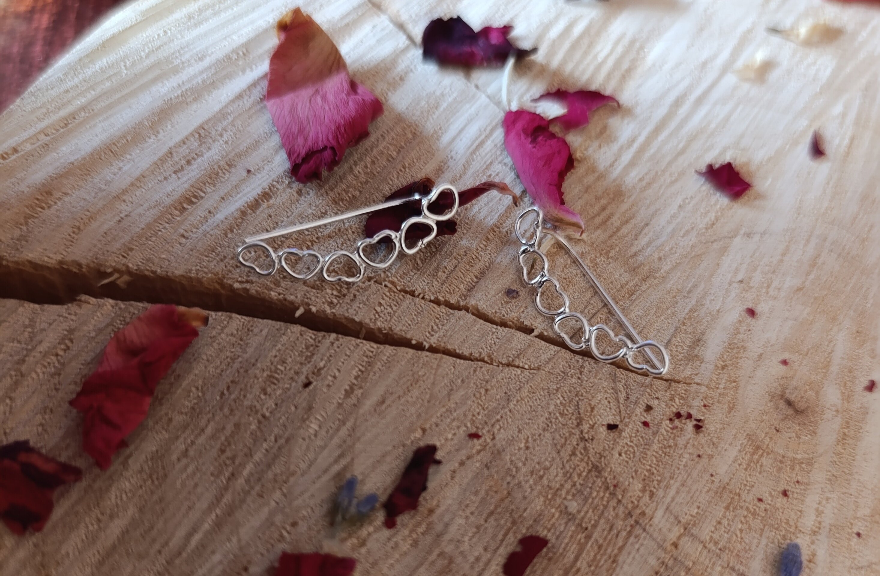 Pendientes Corazones Trepadores en Plata de Ley 925 - 2